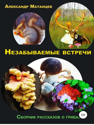 cover image of Незабываемые встречи. Сборник рассказов о грибах